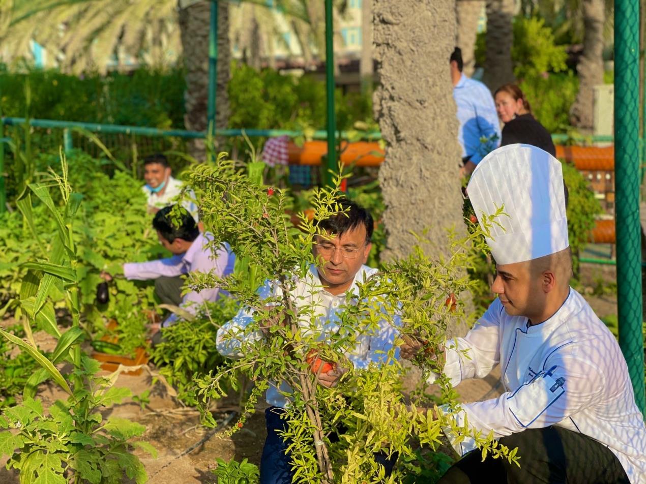 Coral Beach Resort Sharjah, continues to pioneer exciting and innovative environmental, health and well-being initiatives.