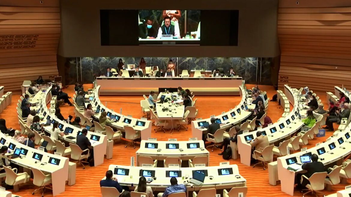 World Health Assembly unanimously endorses UAE’s proposal to promote quality of life ￼