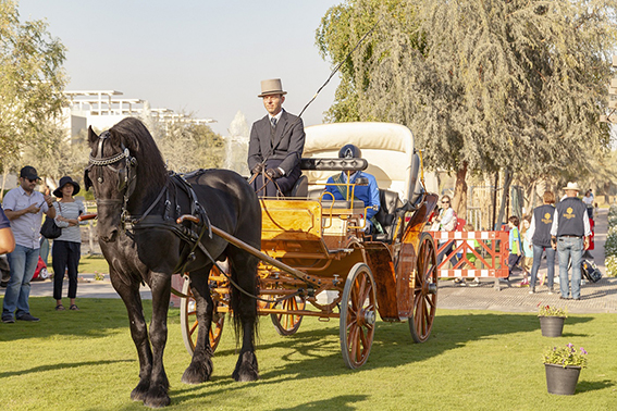 The Sustainable City International Horse Show 2023 kicks off this week