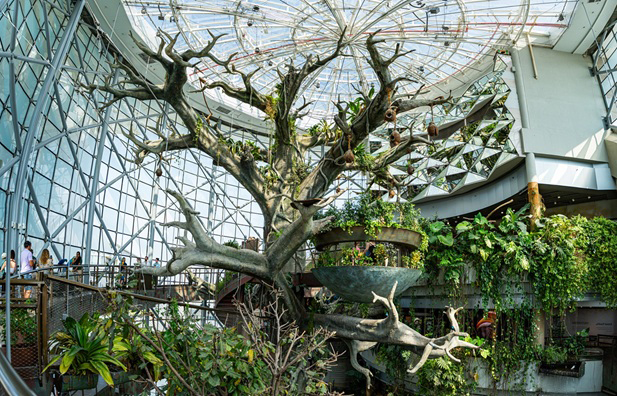 A nature-led Easter experience comes to The Green Planet™ Dubai, bringing families together
