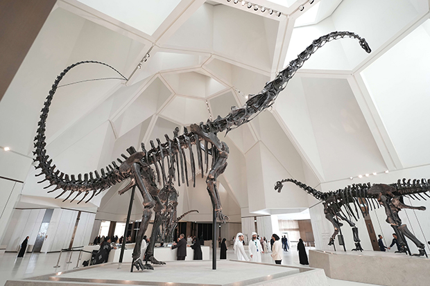 Natural History Museum Abu Dhabi Marks International Museum Day with Free Entry and Interactive Experiences