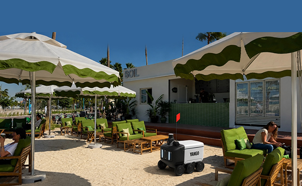Yango Group Robots to Serve Coffee at Soil Café in Dubai